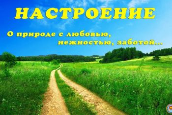 Настроение. О природе с любовью, нежностью, заботой...