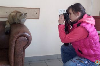 Анонс