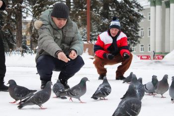 Как жители погуляли по городу Ступино